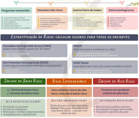 Recorte do fluxograma de síncope: avaliação inicial e estratificação de risco